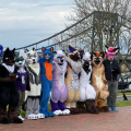 Wilhelmshaven April 2024 Suitwalk